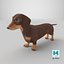 Dachshund Low Poly - Game Ready