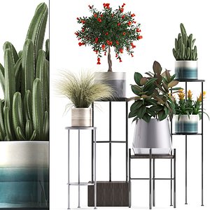 plants potted 3D model