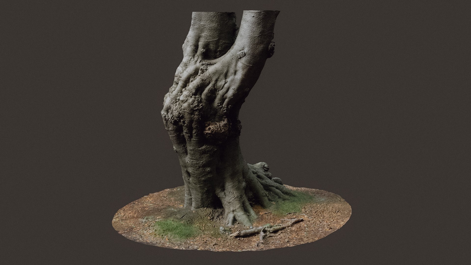 3D oak tree nature https://p.turbosquid.com/ts-thumb/Be/g01ajd/R6762eAq/oak_03/jpg/1601236773/1920x1080/fit_q87/e2ee5aa555b1757fa3ba74aa5dffb17bde115039/oak_03.jpg