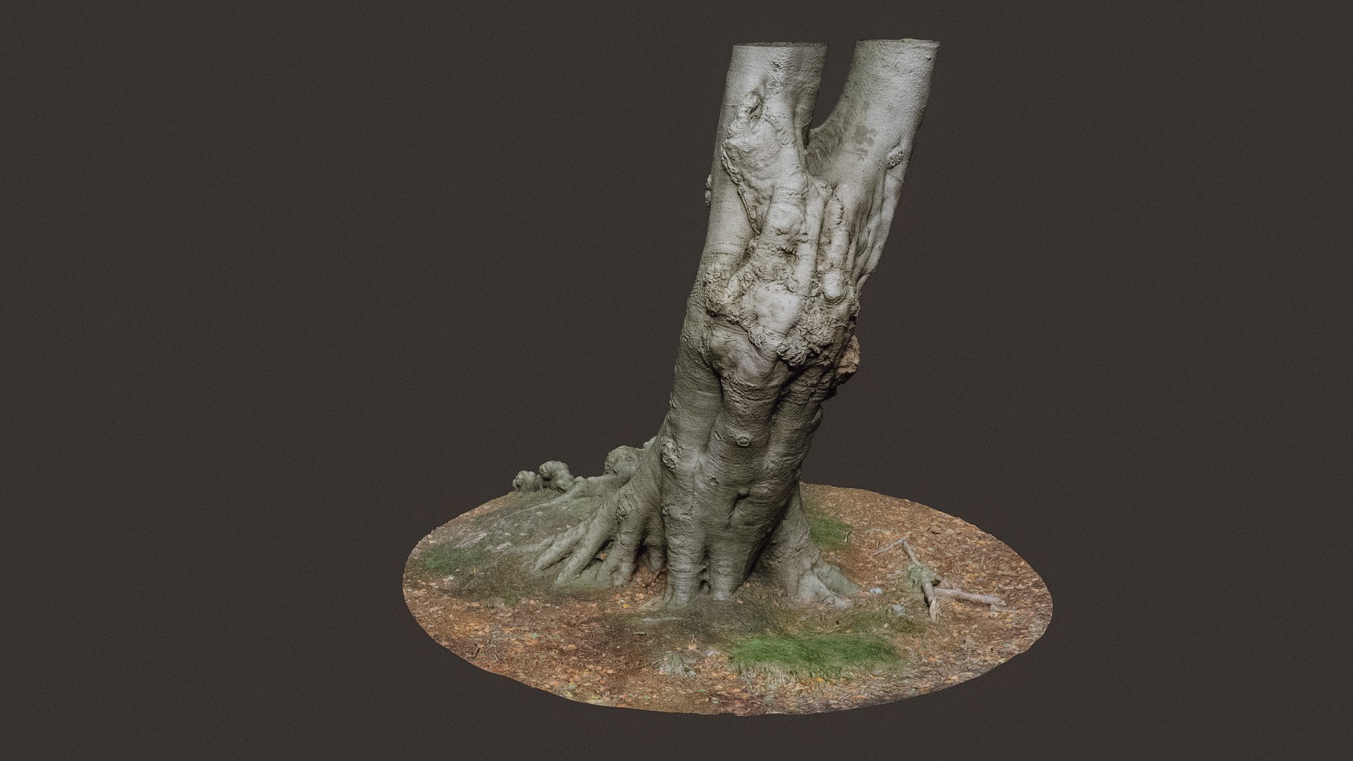 3D oak tree nature https://p.turbosquid.com/ts-thumb/Be/g01ajd/VDh9wpTU/oak_02/jpg/1601236774/1920x1080/fit_q87/fcd0b12bc881cef9578c31c3398af6430f414f91/oak_02.jpg