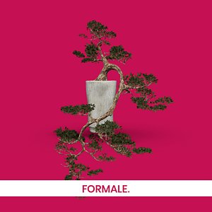 FORMALE Decorative Bonsai Tree 3D model
