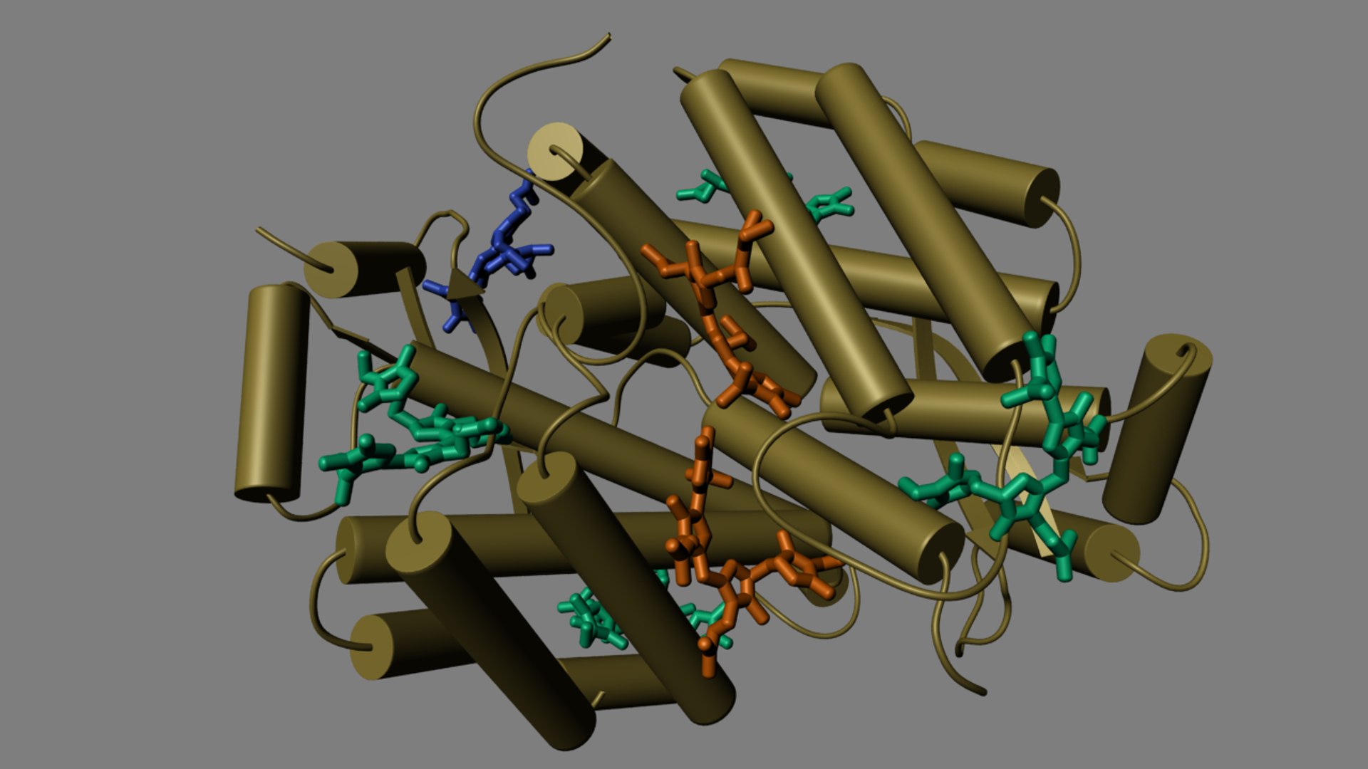phycocyanin phycobiliprotein allophycocyanin 3d obj