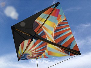 kite rigged 3d model