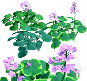 3D model Realistic Blue Mouse Ears Hosta 3D Model for Every Season