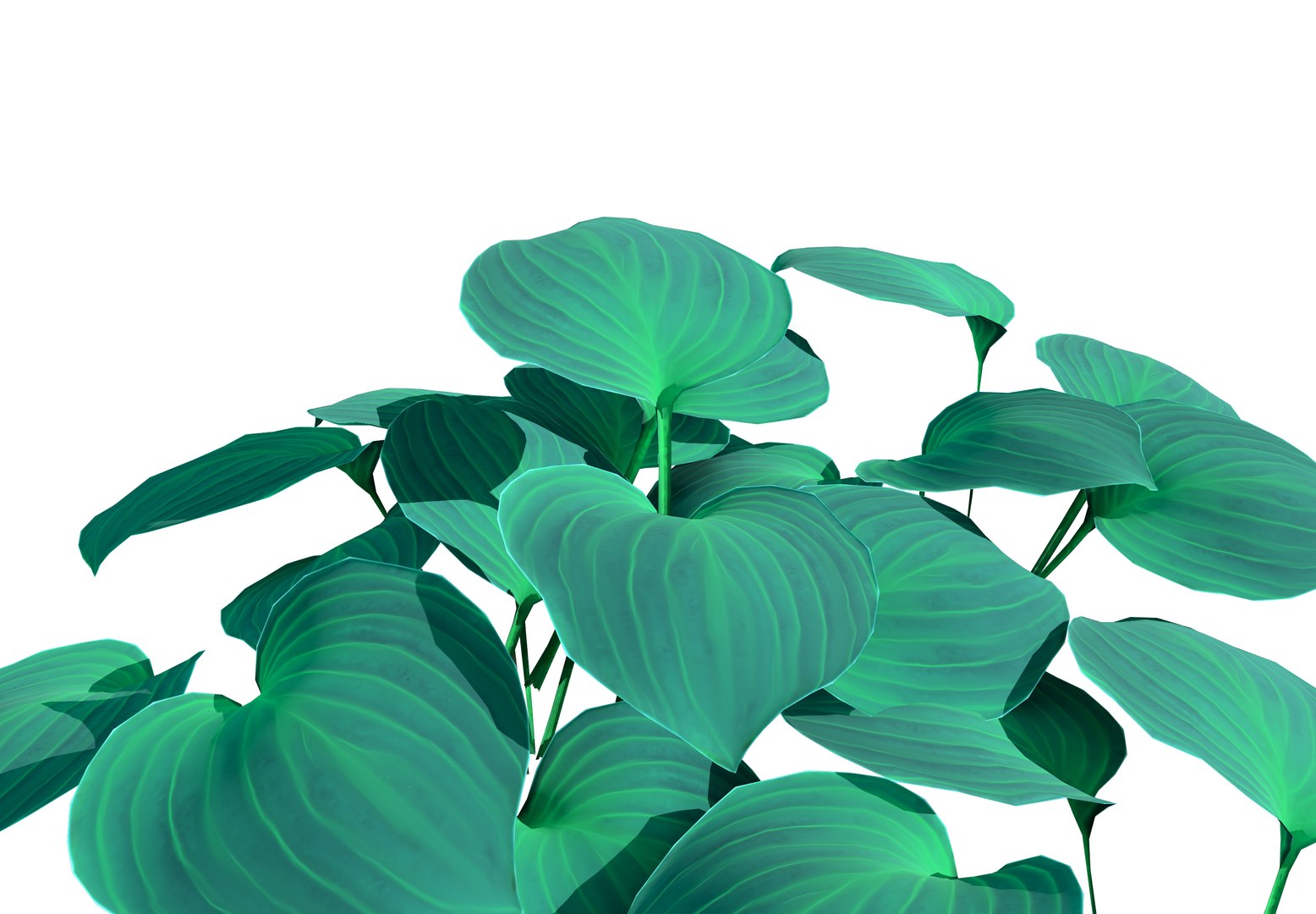 3D model Realistic Blue Mouse Ears Hosta 3D Model for Every Season https://p.turbosquid.com/ts-thumb/Bf/UGLyKE/m6/bluegreen_earshosta3/jpg/1703100432/1920x1080/fit_q87/8dcc203e06d2d0a919d5b7fccc61381437354293/bluegreen_earshosta3.jpg
