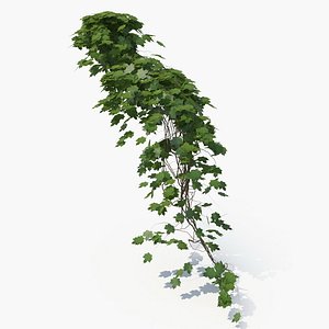 realistic plant 3D model