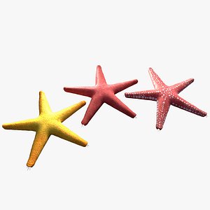 red star fish 3D model