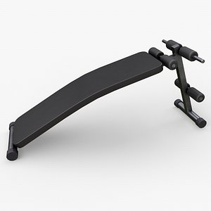PBR Sit Up Exercise Bench Press