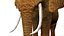 Elefante africano truccato L2347