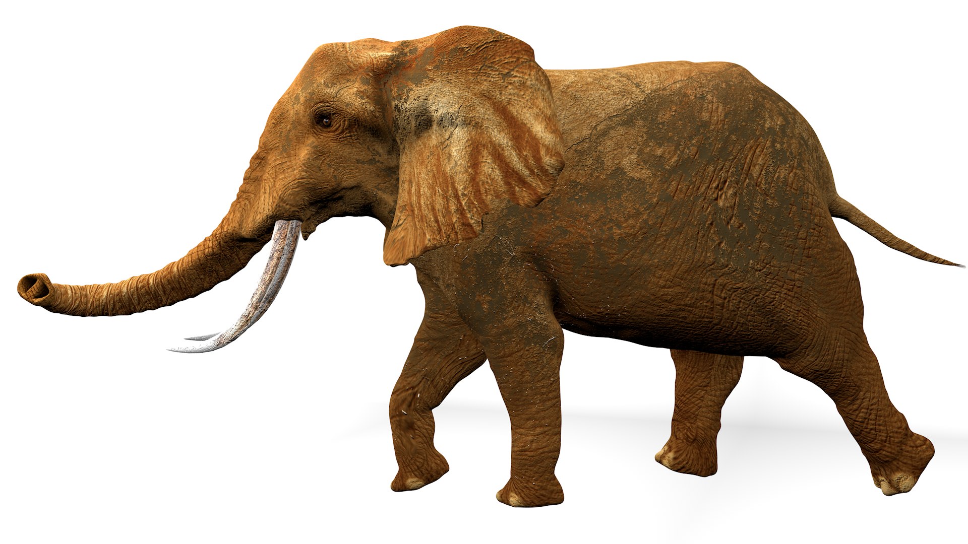 African Elephant RIGGED L2347 3D model https://p.turbosquid.com/ts-thumb/Bf/tjXauq/82/09_0018/png/1743384300/1920x1080/fit_q87/95cdb1f71d39a74f886e96d50e4b320db9675c66/09_0018.jpg