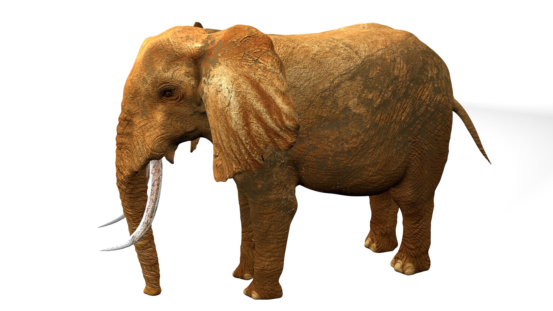 African Elephant RIGGED L2347 3D model https://p.turbosquid.com/ts-thumb/Bf/tjXauq/K4/15_0013/png/1743384311/1920x1080/fit_q87/3367a87dffa46078c82a5bbd74e51b4c738c5d7c/15_0013.jpg