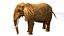 Elefante africano truccato L2347