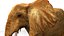 Elefante africano truccato L2347