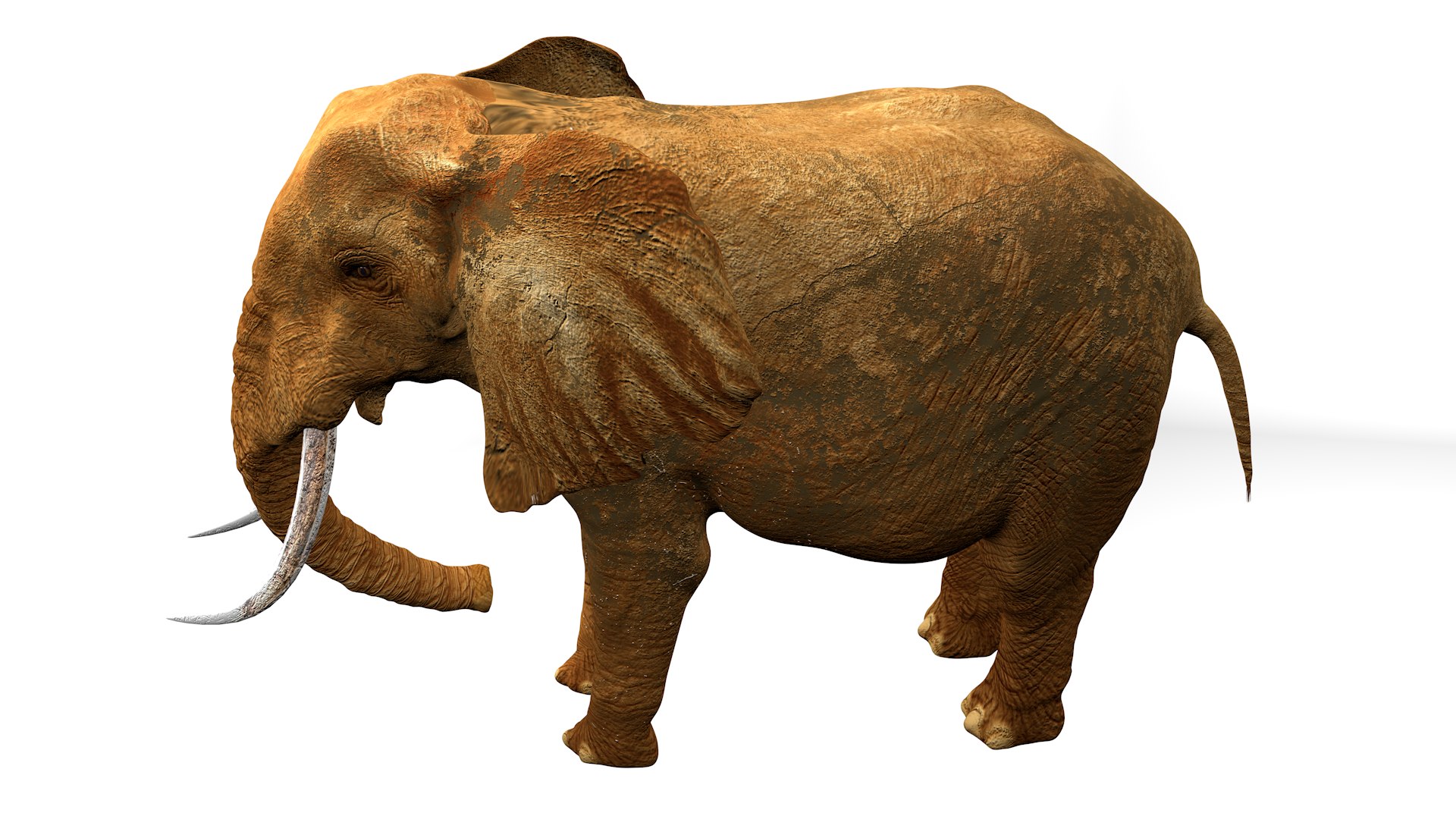 African Elephant RIGGED L2347 3D model https://p.turbosquid.com/ts-thumb/Bf/tjXauq/gw/16_0025/png/1743384313/1920x1080/fit_q87/2e78271d316d63b8f513e20db2cc133c8ed5a593/16_0025.jpg