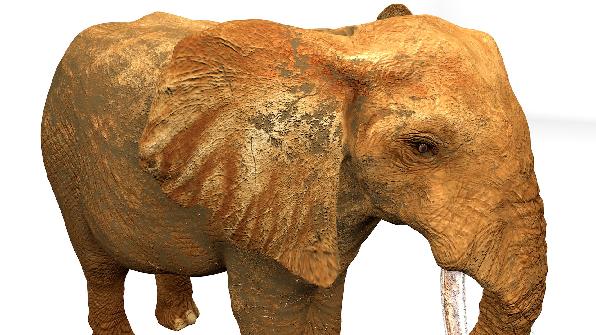 African Elephant RIGGED L2347 3D model https://p.turbosquid.com/ts-thumb/Bf/tjXauq/oM/19_i18_0025/png/1743384319/1920x1080/fit_q87/060653ca2e04ebcb650675ee191a69684780609f/19_i18_0025.jpg