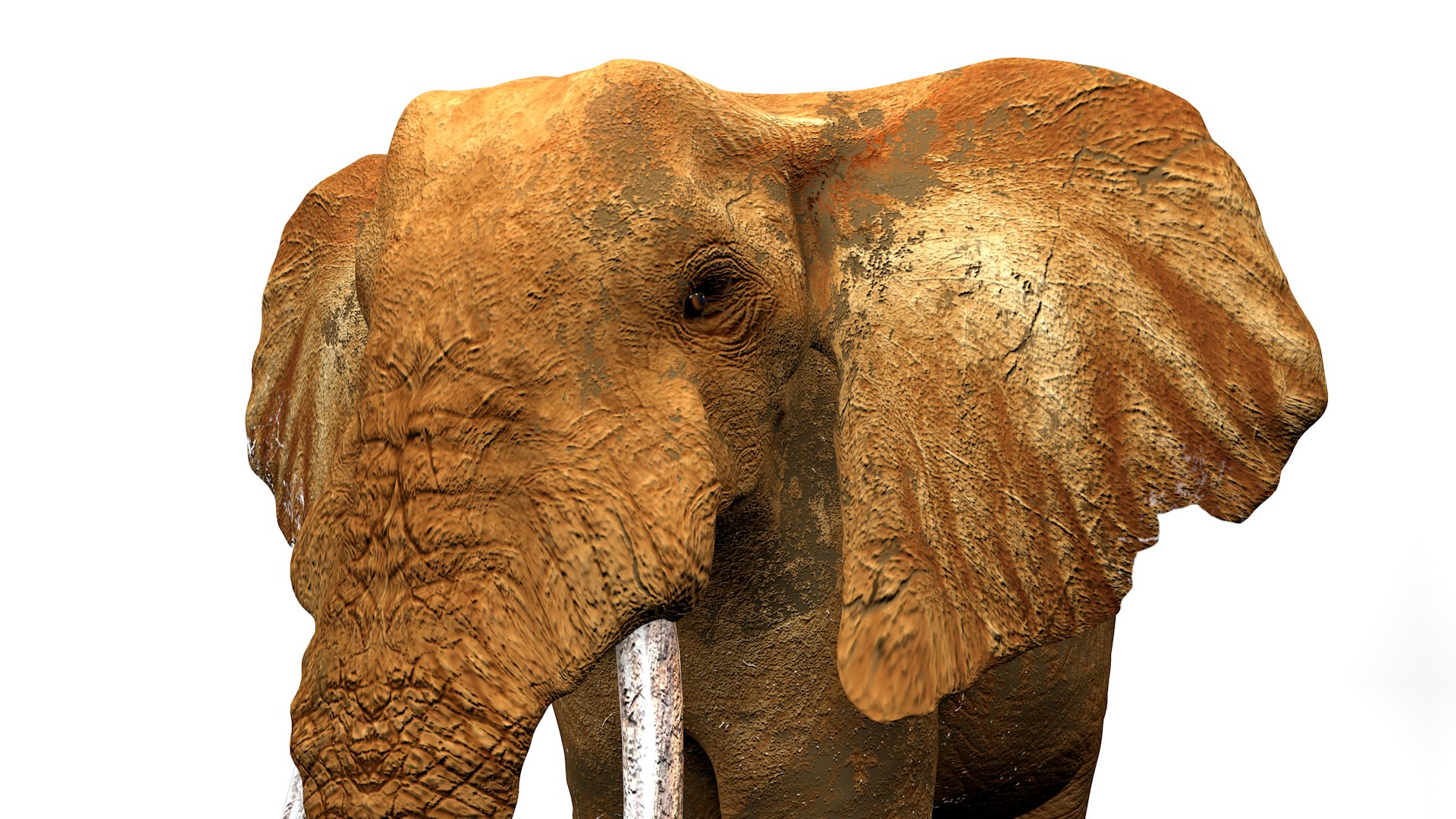 African Elephant RIGGED L2347 3D model https://p.turbosquid.com/ts-thumb/Bf/tjXauq/sS/18_i17_0013/png/1743384317/1920x1080/fit_q87/5aa6f0bb993a0ed726b65208317da66cf00d0827/18_i17_0013.jpg