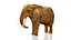 Elefante africano truccato L2347