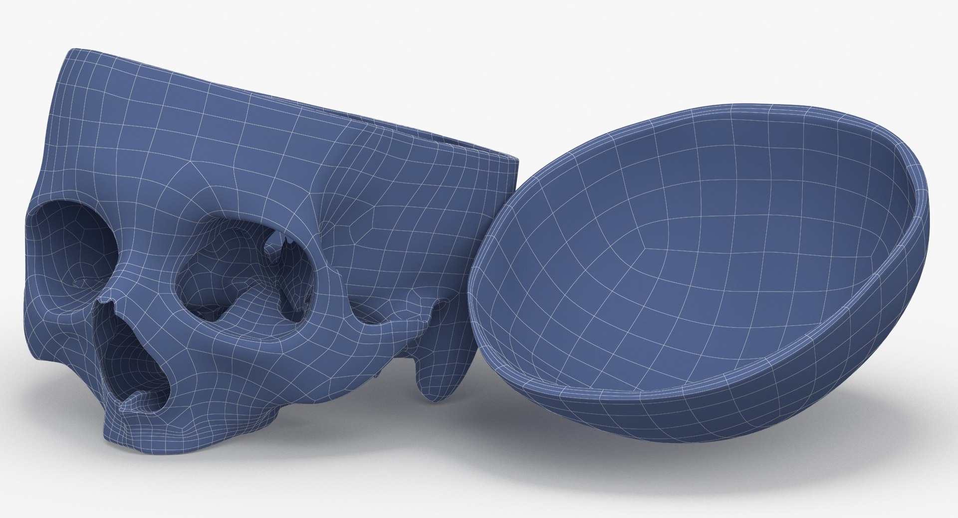 Human Skull Cranial 02 3D Model - TurboSquid 1556069