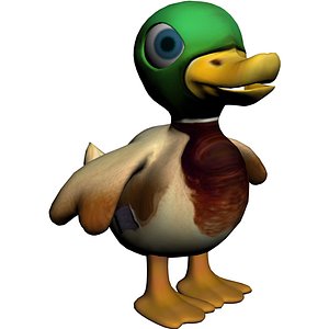 Duck