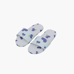 Blueberry slipper 3D