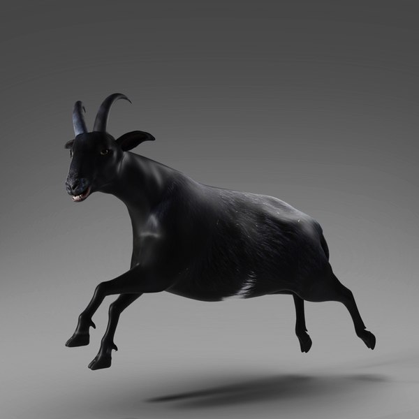 3D Goat 05 Rigged and Animation model - TurboSquid 2010265