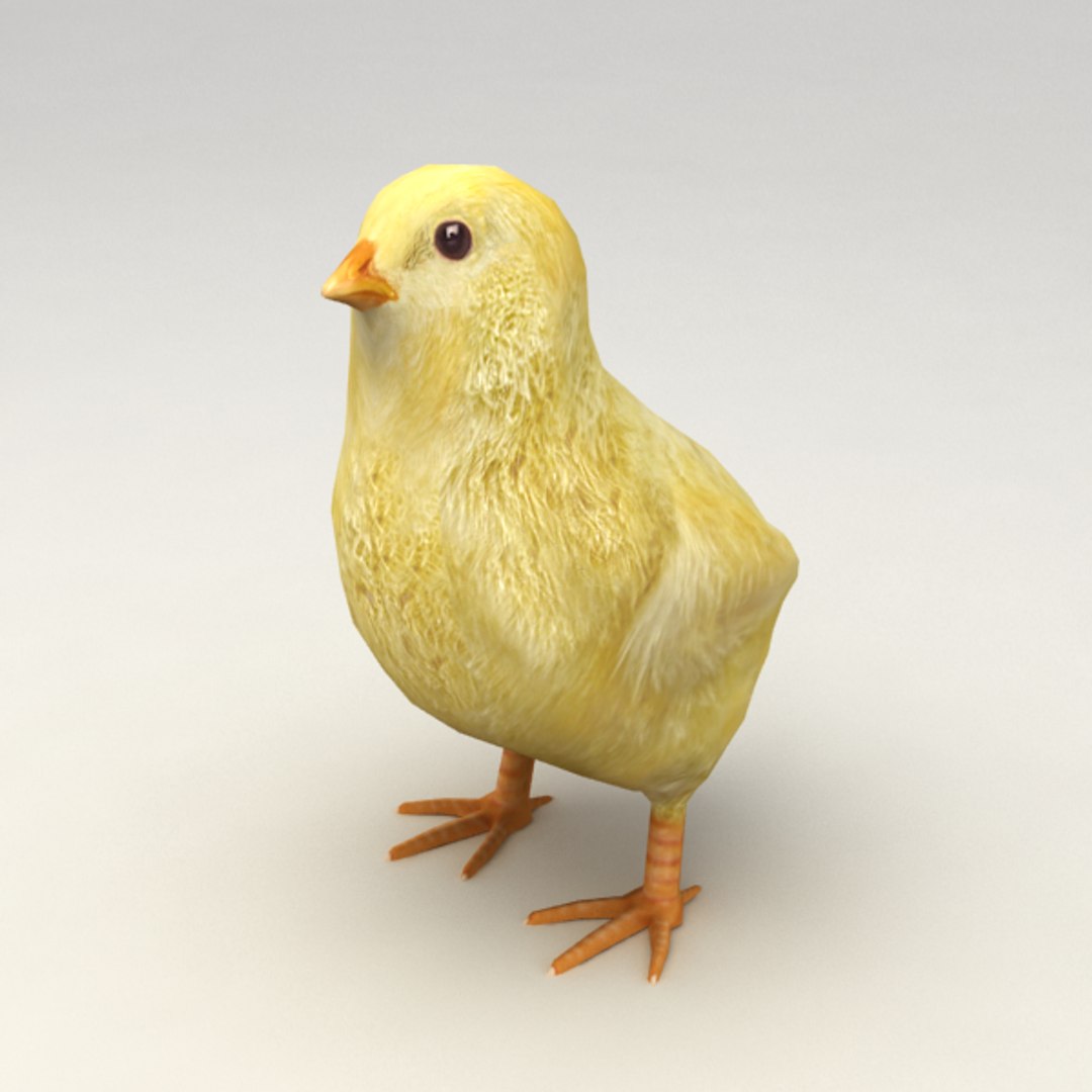 13 farm animal max https://p.turbosquid.com/ts-thumb/Bg/4PiYlx/0AsqRrqa/babychicken01/png/1454675366/1920x1080/fit_q87/f2730e663536c816c9e632d3553f5168b0d94755/babychicken01.jpg