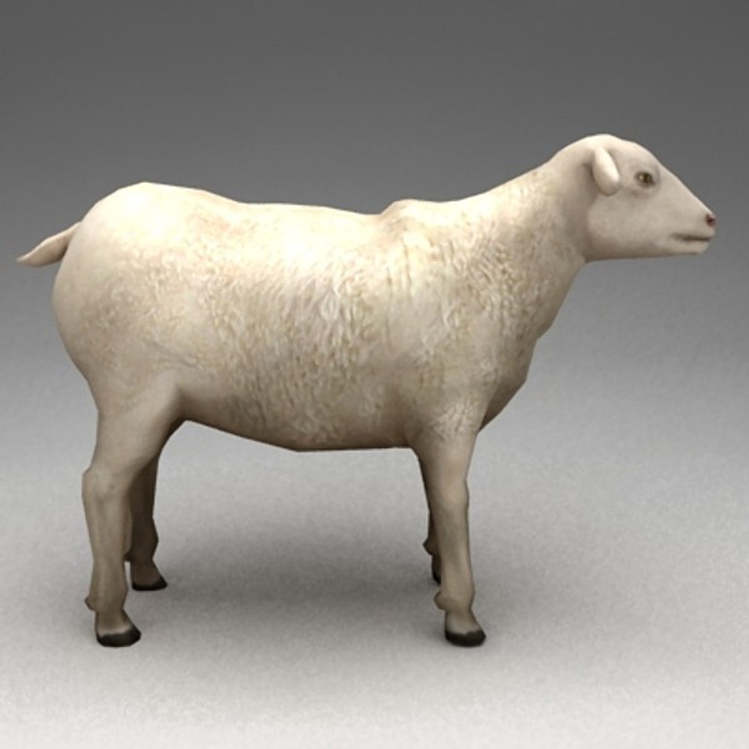 13 farm animal max https://p.turbosquid.com/ts-thumb/Bg/4PiYlx/1mMXBhr0/sheep06/jpg/1454675368/1920x1080/fit_q87/c429f182f8bdd65058c27c34a93b4a23aa7ad670/sheep06.jpg