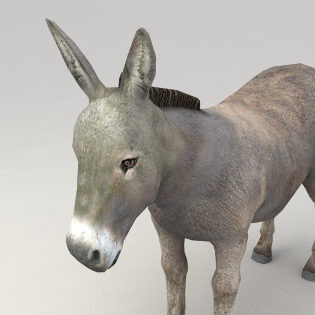 13 farm animal max https://p.turbosquid.com/ts-thumb/Bg/4PiYlx/8gNsQrVl/donkey_v5/png/1454675367/1920x1080/fit_q87/450fd33d1f992bc072d74cce33b78fe64c36601d/donkey_v5.jpg