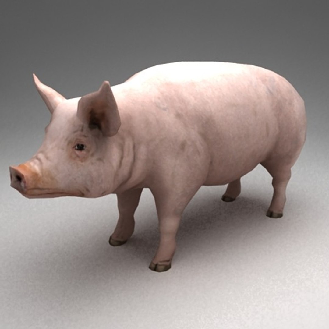 13 farm animal max https://p.turbosquid.com/ts-thumb/Bg/4PiYlx/DdreERMS/pig01/jpg/1454675368/1920x1080/fit_q87/e748bdc4582e84051dddc5c638280c2bd2126b08/pig01.jpg