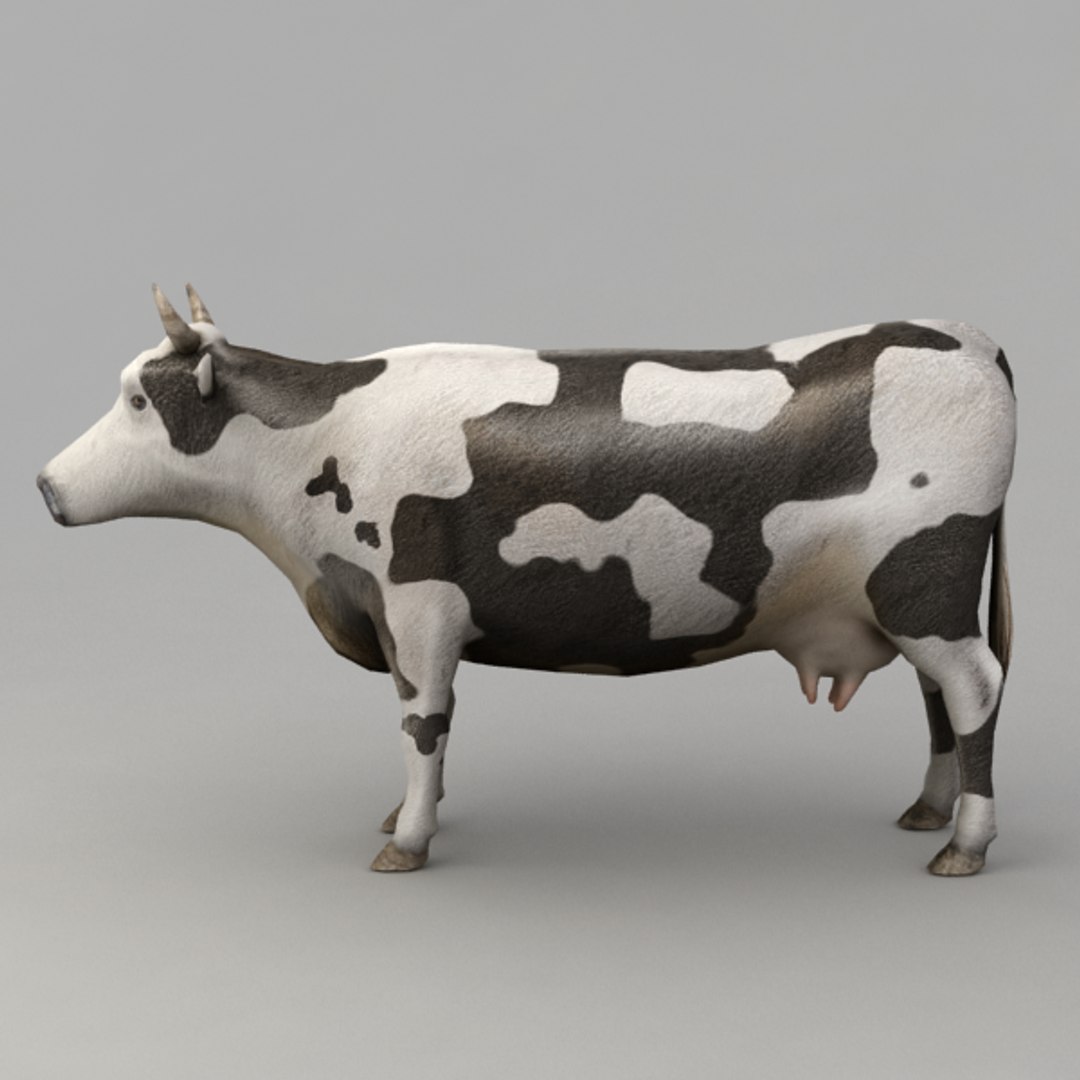 13 farm animal max https://p.turbosquid.com/ts-thumb/Bg/4PiYlx/IlYDcRwW/cow03/png/1454675367/1920x1080/fit_q87/8601a3d116627440c01bb55c19197e2439c3e4d0/cow03.jpg