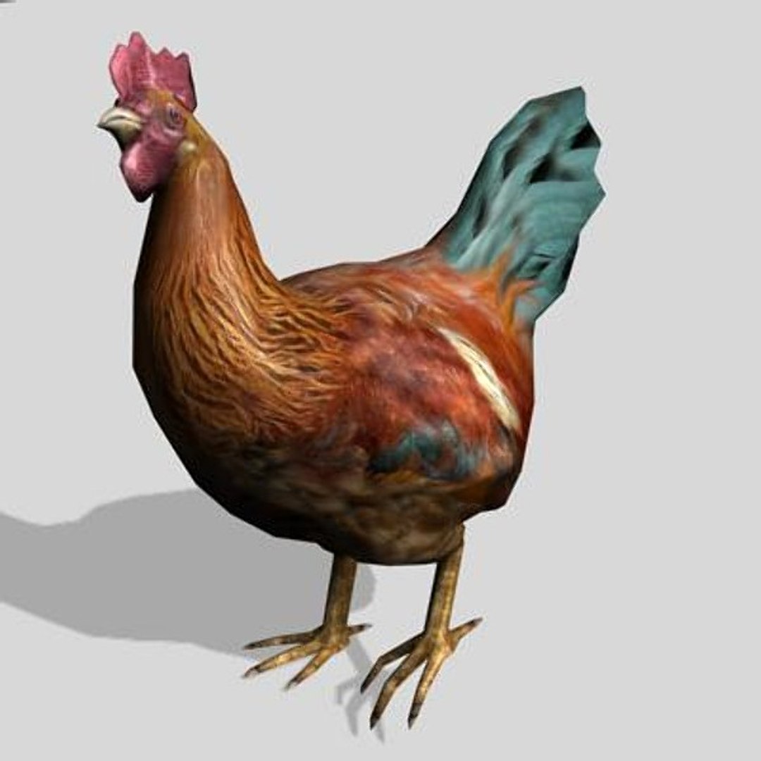 13 farm animal max https://p.turbosquid.com/ts-thumb/Bg/4PiYlx/Ls4Hh7Mv/hen05/jpg/1454675367/1920x1080/fit_q87/de3a1481a2dee404465a5144d35106b4344fef9e/hen05.jpg