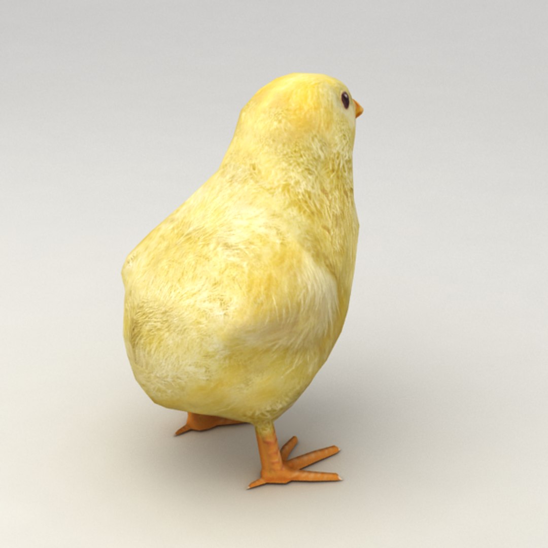 13 farm animal max https://p.turbosquid.com/ts-thumb/Bg/4PiYlx/OqA878ZR/babychicken02/png/1454675366/1920x1080/fit_q87/f37095ff342e485c9f48f19cf529765681f3f76a/babychicken02.jpg