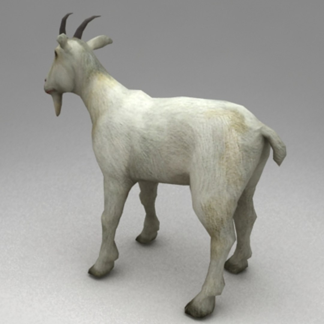 13 farm animal max https://p.turbosquid.com/ts-thumb/Bg/4PiYlx/UURYBk6n/goat_v2/jpg/1454675367/1920x1080/fit_q87/1aebf029b6ea786165691ca12aa799f47b0ec3a6/goat_v2.jpg