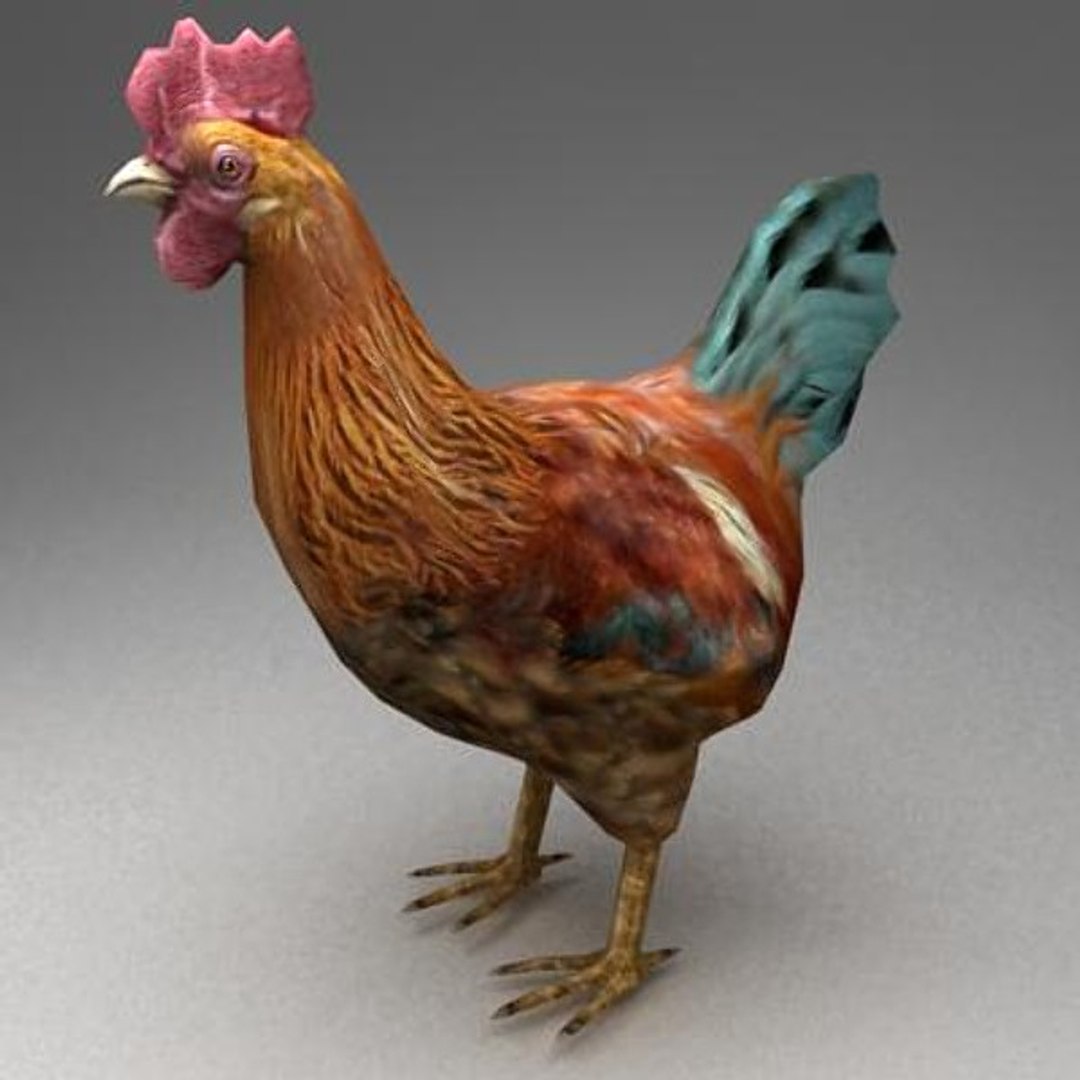 13 farm animal max https://p.turbosquid.com/ts-thumb/Bg/4PiYlx/VJrZTr7K/hen01/jpg/1454675367/1920x1080/fit_q87/c1c5f9b52167129e6fff437157ba94d82ba16381/hen01.jpg