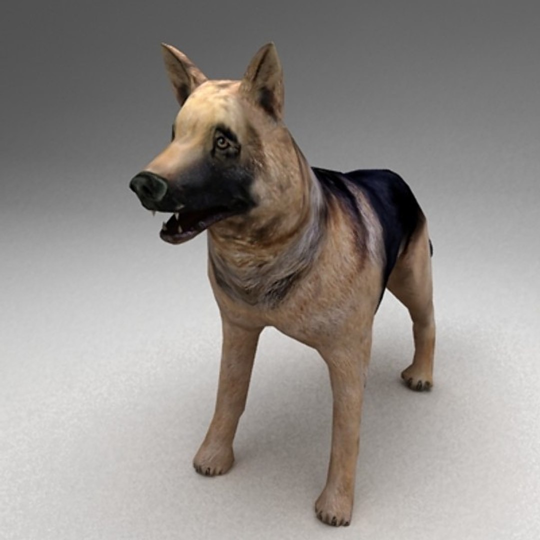 13 farm animal max https://p.turbosquid.com/ts-thumb/Bg/4PiYlx/gQJrwIXF/dog04/jpg/1454675367/1920x1080/fit_q87/69ecaf345f4a71d81a58abecc38b0118f7520b5a/dog04.jpg