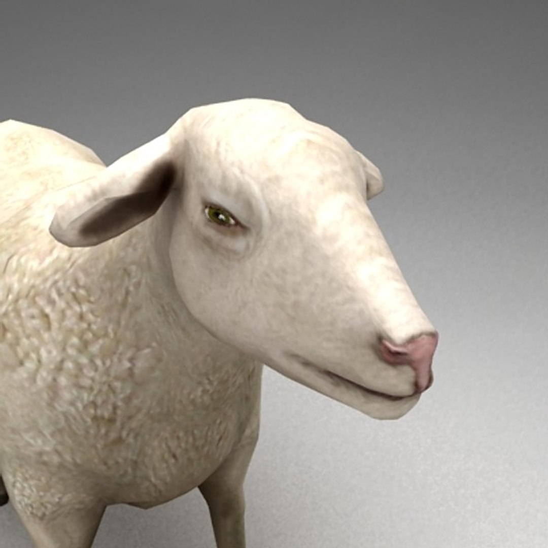 13 farm animal max https://p.turbosquid.com/ts-thumb/Bg/4PiYlx/xnMO0dFj/sheep03/jpg/1454675368/1920x1080/fit_q87/5597ea45f59f04bd066a96a08e9f2cf71b690509/sheep03.jpg