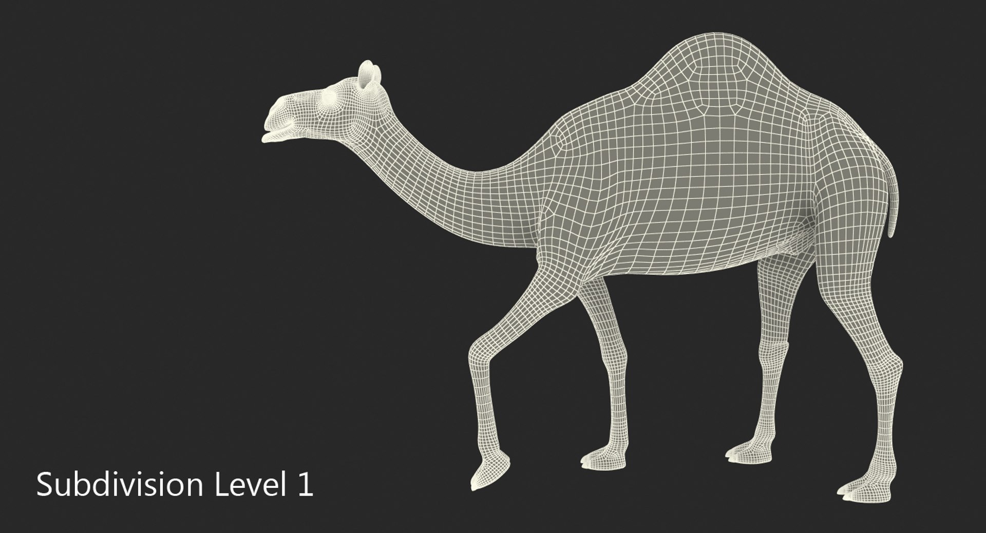 camel rigged max https://p.turbosquid.com/ts-thumb/Bg/Oo3z6R/crm8cBzf/camelriggedc4dmodel025/jpg/1487312170/1920x1080/fit_q87/f65e96213e3e73e0f45698b555255b683682ff44/camelriggedc4dmodel025.jpg