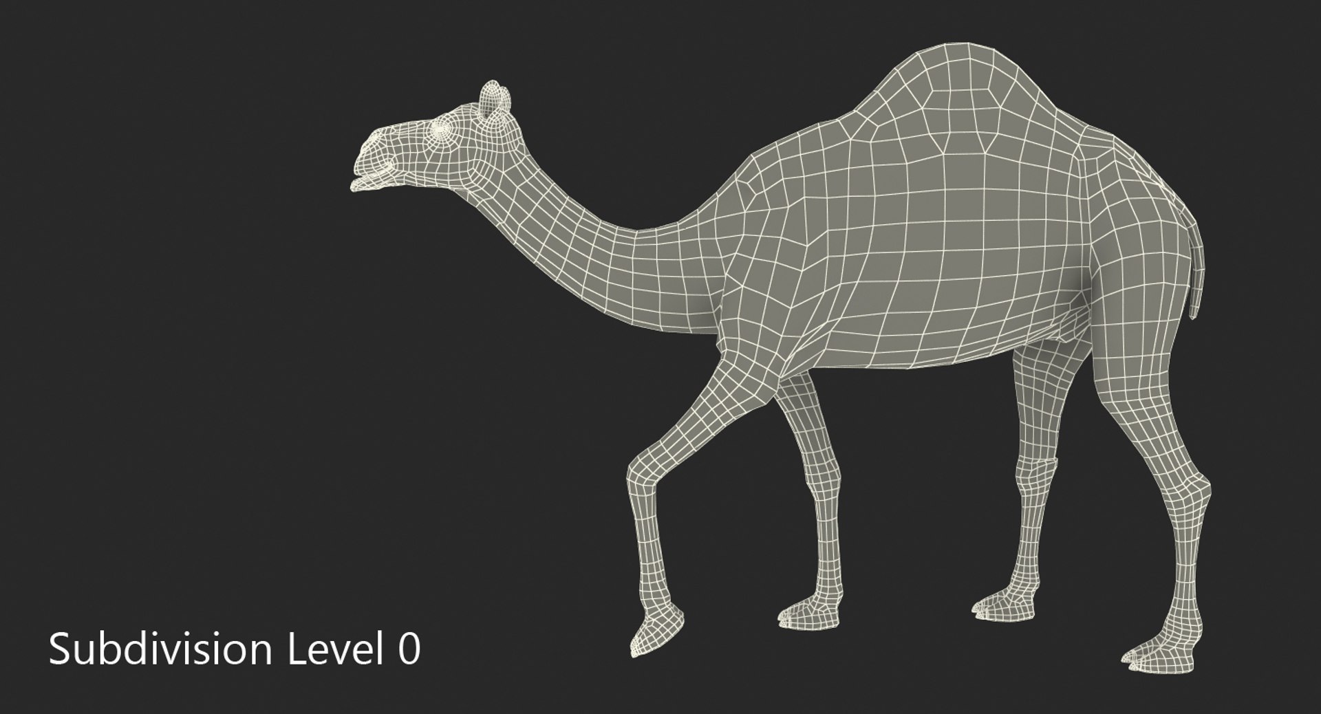 camel rigged max https://p.turbosquid.com/ts-thumb/Bg/Oo3z6R/jP6jGTCc/camelriggedc4dmodel024/jpg/1487312170/1920x1080/fit_q87/1bc6ca3482ca5b7642ee7ec7525a3beae59b47d5/camelriggedc4dmodel024.jpg