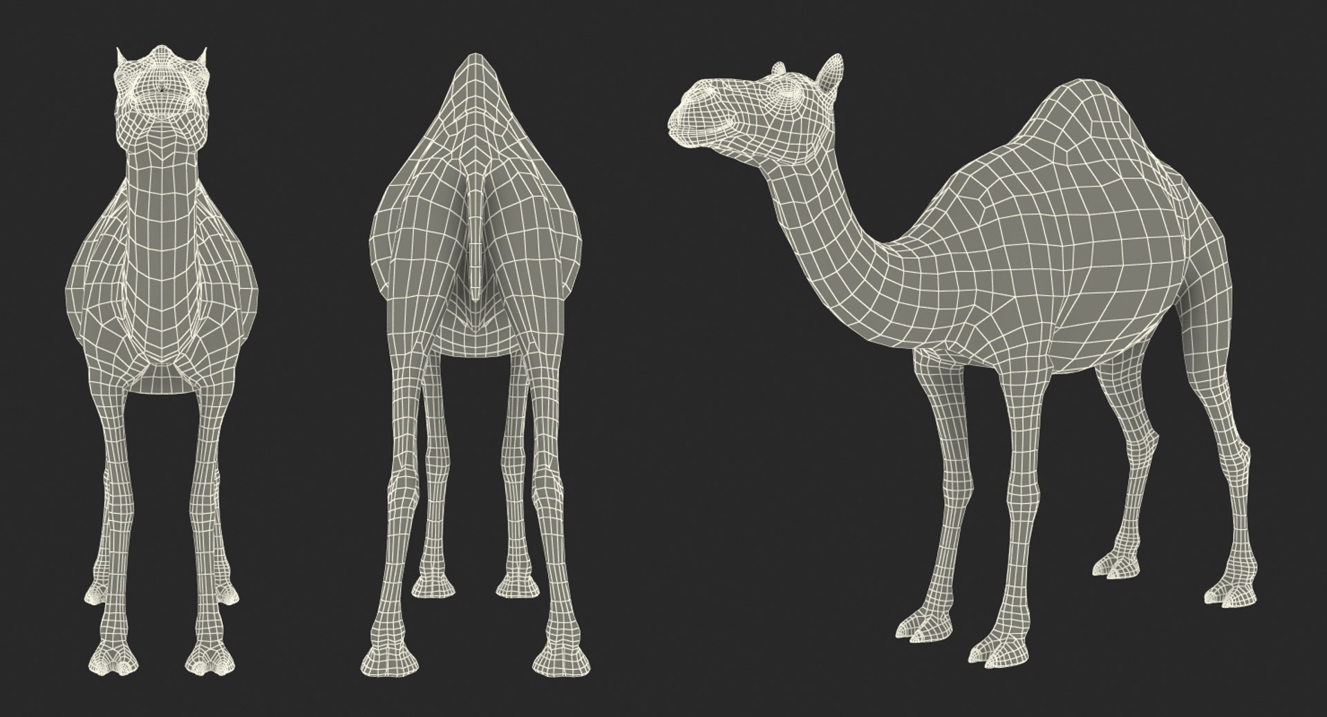camel rigged max https://p.turbosquid.com/ts-thumb/Bg/Oo3z6R/jWRRmVwY/camelriggedc4dmodel035/jpg/1487312174/1920x1080/fit_q87/80084e73585daf5440538ad70fb881fb08fdca60/camelriggedc4dmodel035.jpg