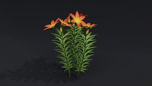 Flower And Plants 3D