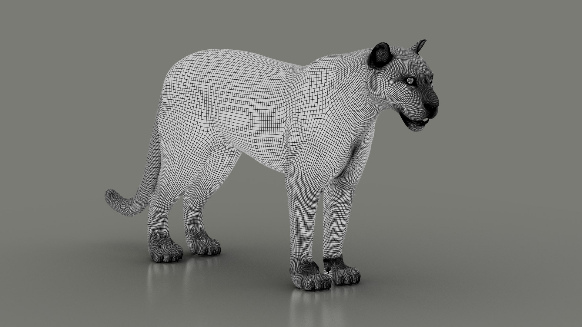 3D Black Animation Fur - TurboSquid 1491018
