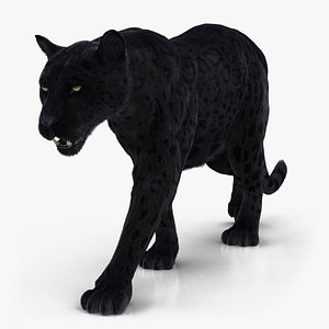 3D black animation fur