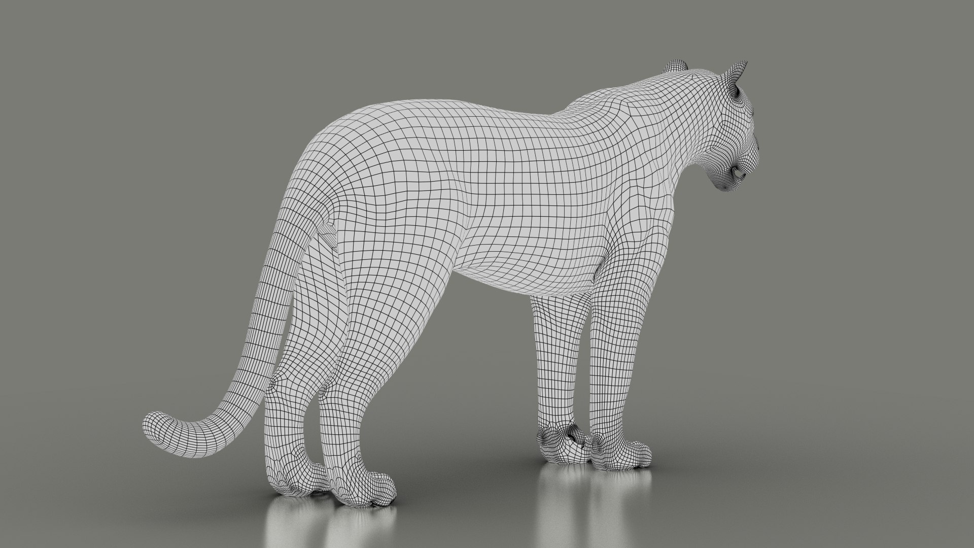3D Black Animation Fur - TurboSquid 1491018