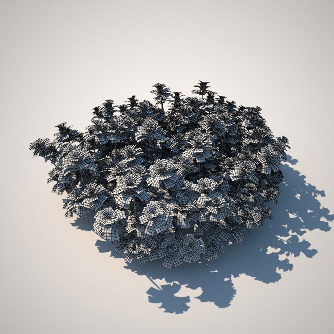 3d Model Of Plant Cover Ground