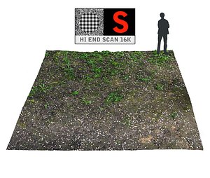 forest ground 16k hd ma