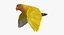 Agapornis Roseicollis "Lutino Rosy-Face Lovebird"