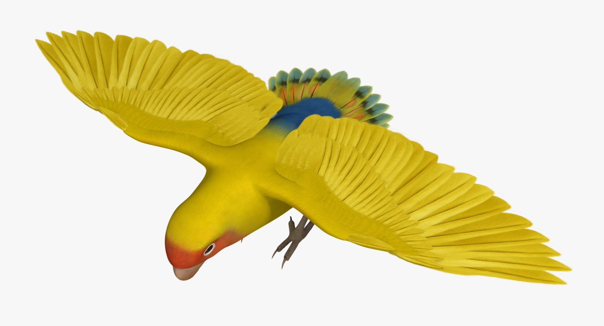 agapornis roseicollis lutino rosy-faced 3d obj https://p.turbosquid.com/ts-thumb/Bg/bICoqy/4uaXD6JR/r08/jpg/1429283919/1920x1080/fit_q87/157dad8e840a5e73d62f47e102ddd6100f05aeb9/r08.jpg