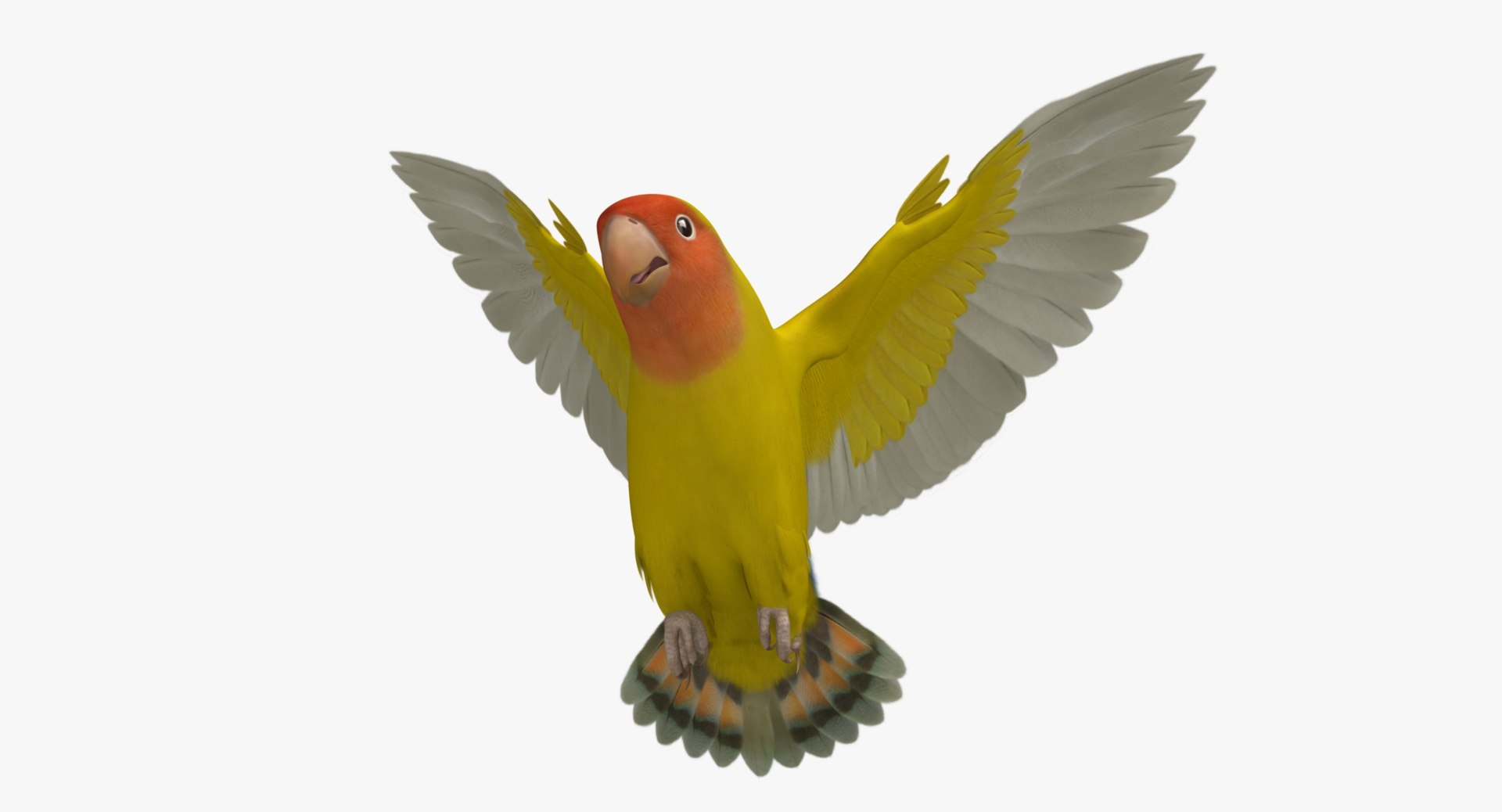 agapornis roseicollis lutino rosy-faced 3d obj https://p.turbosquid.com/ts-thumb/Bg/bICoqy/B5tjkkxX/r03/jpg/1429280020/1920x1080/fit_q87/231186efadc4e015d597270e4576db4721b6fd6e/r03.jpg