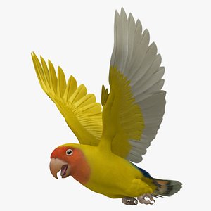 agapornis roseicollis lutino rosy-faced 3d obj
