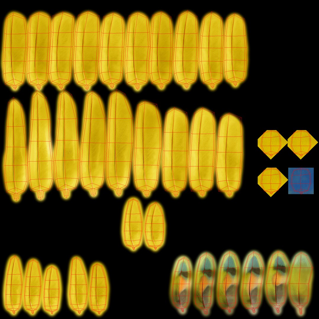 agapornis roseicollis lutino rosy-faced 3d obj https://p.turbosquid.com/ts-thumb/Bg/bICoqy/scASsCvj/feathers_uv/jpg/1429282354/1920x1080/fit_q87/8edcb011970c8412c1949698744cf597aa94f1e8/feathers_uv.jpg